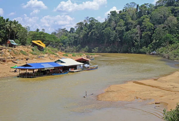 Tourist boats on Tembeling river in Taman Negara National Park — Stock Photo, Image