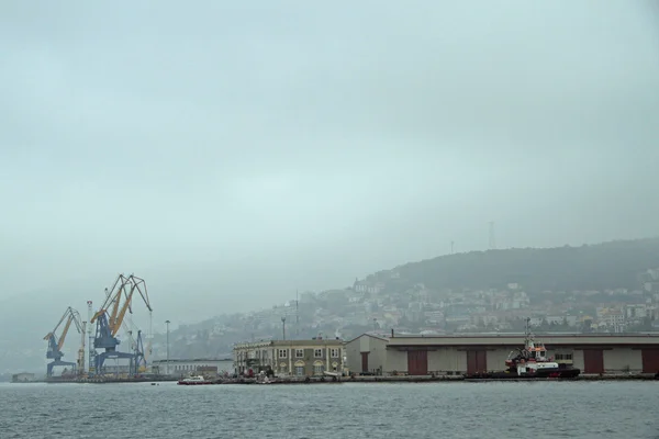 Dock ve Vinçler, Trieste Limanı — Stok fotoğraf