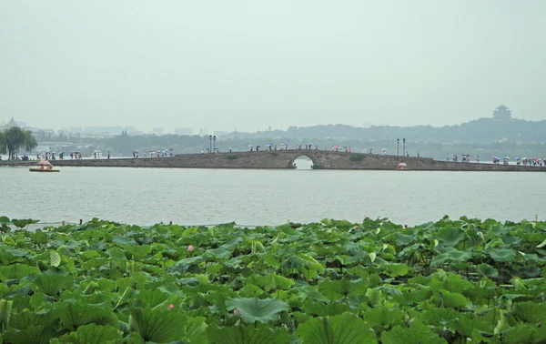 Люди переходите Західного озера в Ханчжоу на мосту — стокове фото