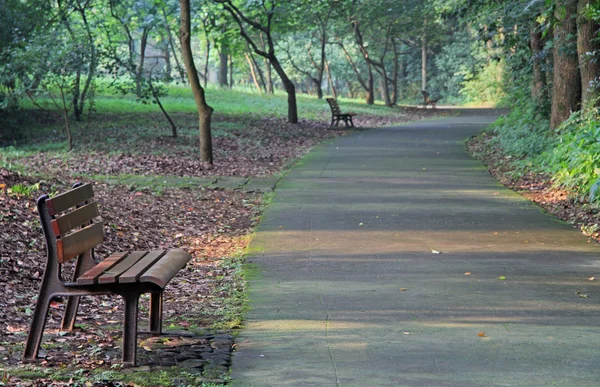 Panchine di legno in parco di Hangzhou — Foto Stock