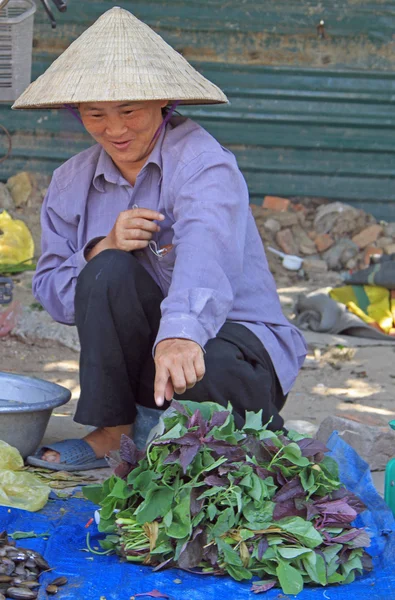 Mujer está vendiendo hojas de albahaca al aire libre en Vinh, Vietnam — Foto de Stock