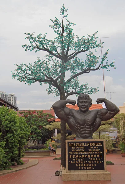 Statue of Datuk Wira Dr. Gan Boon Leong — Stock Photo, Image