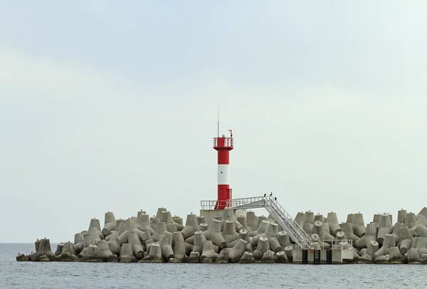 Concrete coastal fortifications in sea port of Sochi — Stock Photo, Image