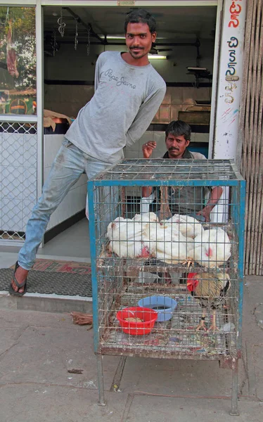 Adam canlı tavuk Hyderabad, Hindistan açık satış — Stok fotoğraf