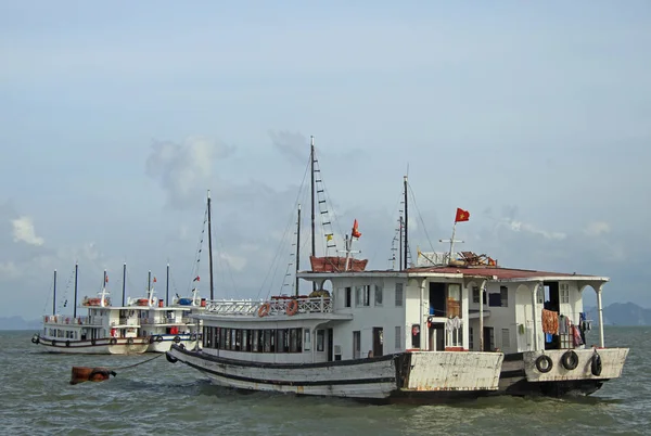 Ha uzun bay Vietnam — Stok fotoğraf