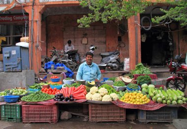 adam sebze satan açık Jaipur, Hindistan