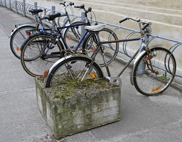 Art composition of bicycle with rear wheel stucked in concrete — Stock Photo, Image