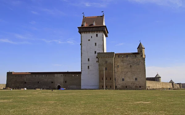 Герман замок в Нарві, Естонія — стокове фото