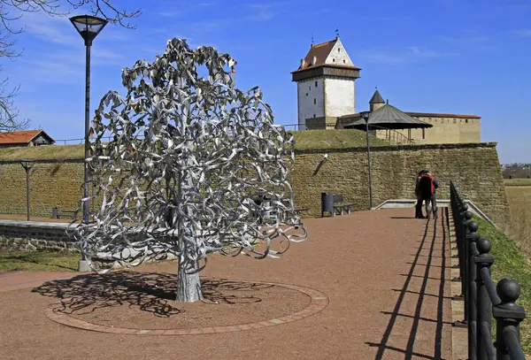 Der Hochzeitsbaum in Narva, Estland — Stockfoto