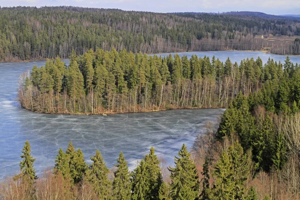 Zamrzlé jezero a lesní pohled z hlediska — Stock fotografie