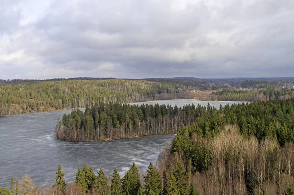 Zamrzlé jezero a lesní pohled z hlediska — Stock fotografie