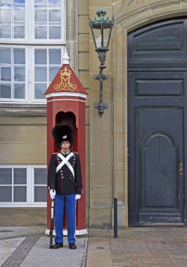 Royal Guard in Amalienborg Castle, Copenhagen clipart