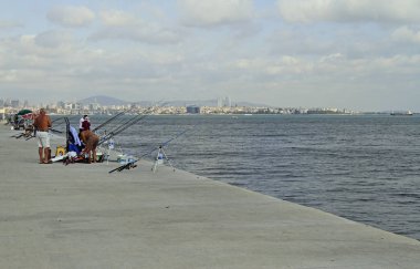 insanlar tarafından Lama Istanbul'da boğaz çıkabilir yürüyor