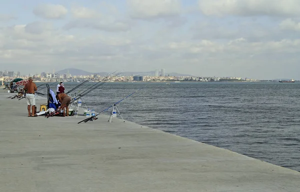 insanlar tarafından Lama Istanbul'da boğaz çıkabilir yürüyor