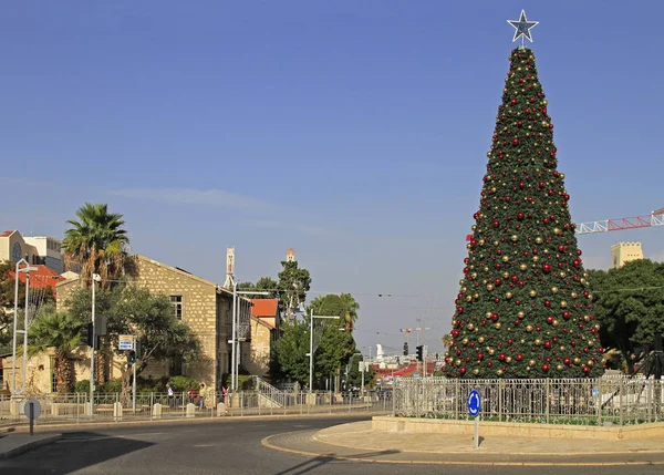 Choinka na zewnątrz w Haifa — Zdjęcie stockowe
