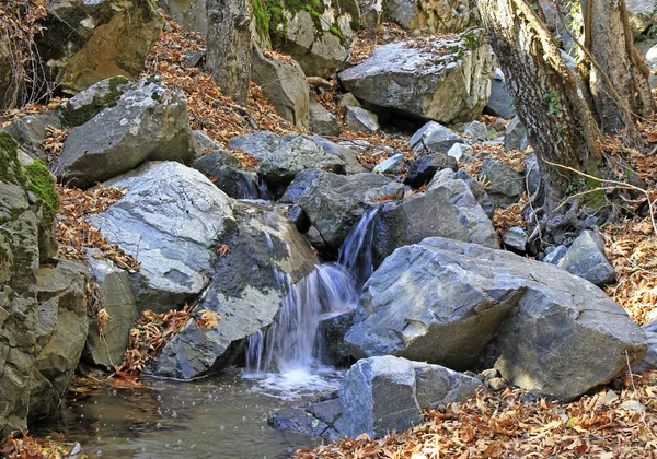Natursköna fontän vid Kalidonia stigen — Stockfoto