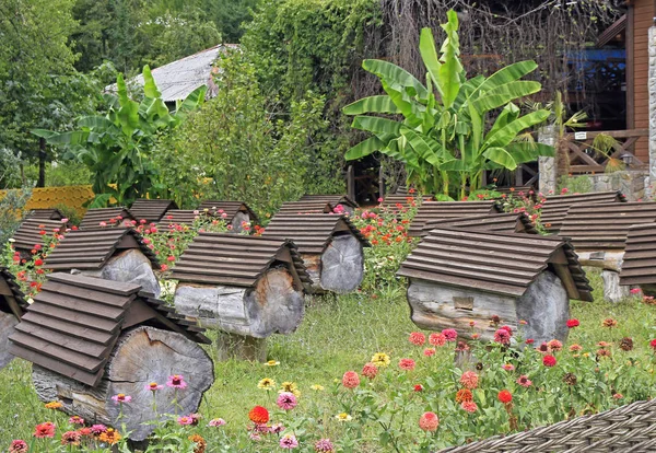 Apiary on the road to lake Ritsa — Stock Photo, Image