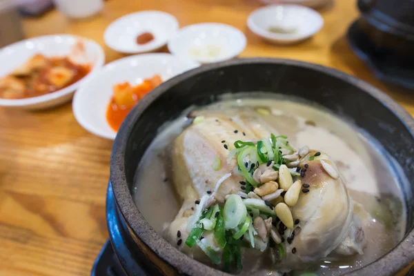 Sopa de pollo ginseng caliente — Foto de Stock