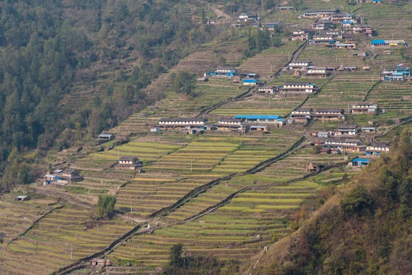 Een rustig dorp en de rijstvelden — Stockfoto