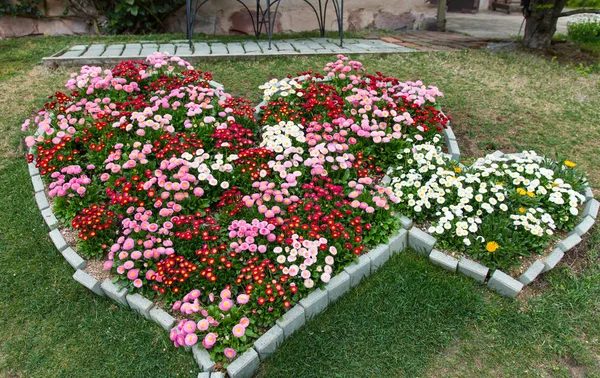 Kalp şeklinde pembe ve kırmızı çiçek bahçesi — Stok fotoğraf