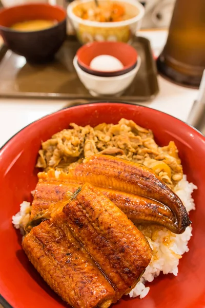 Aal-Reisschale mit Schweinefleisch — Stockfoto