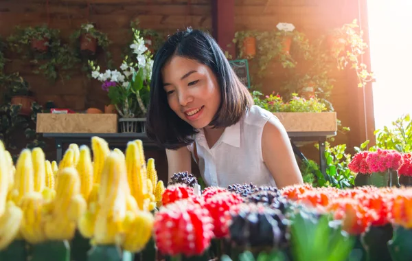 Asyalı bir genç kadın küçük kaktüs arıyor