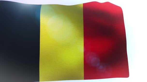 Belçika bayrağı sallayarak dalga — Stok video