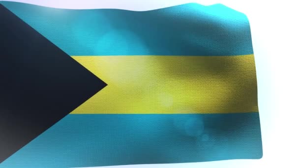 Bahamas ondeando bandera en la ola de viento — Vídeos de Stock