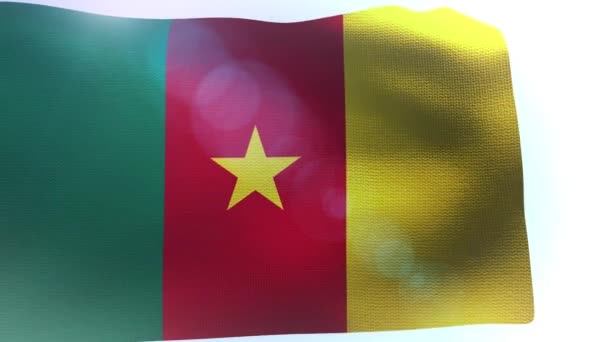 喀麦隆在风中飘扬的旗帜 — 图库视频影像