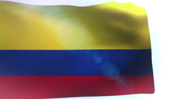 Bandiera della Colombia sventola nell'onda del vento — Video Stock