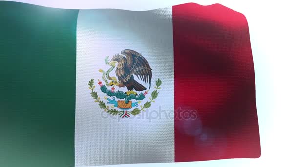 Dalgalanan bayrak Meksika dalgası — Stok video