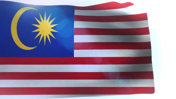 Flagga malaysia vajande i vinden — Stockvideo