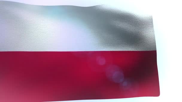 Drapeau de la Pologne soufflant dans le vent agitant la vague — Video