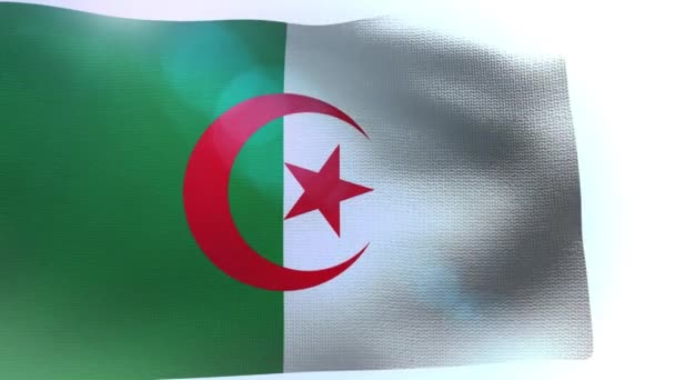 Algeria flag blowing in the wind waving wave