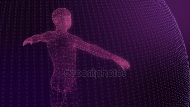 3D-modell av människan geometriska modell av lysande linjer rosa — Stockvideo
