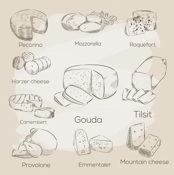 Colección de queso. Vector ilustración dibujada a mano de los tipos de queso — Vector de stock