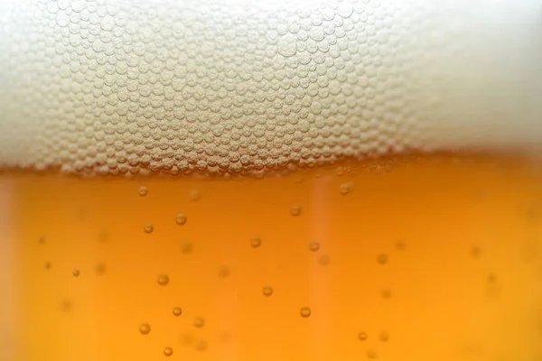 Close up drops of a Ice Cold Pint of Beer — Stock Photo, Image