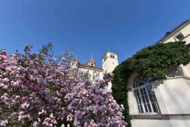 Waldenburg Saksonya bahar şehir mimarisi