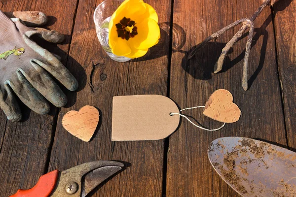 Vista superior de cosas de jardinería y marcador de posición sobre fondo de madera — Foto de Stock