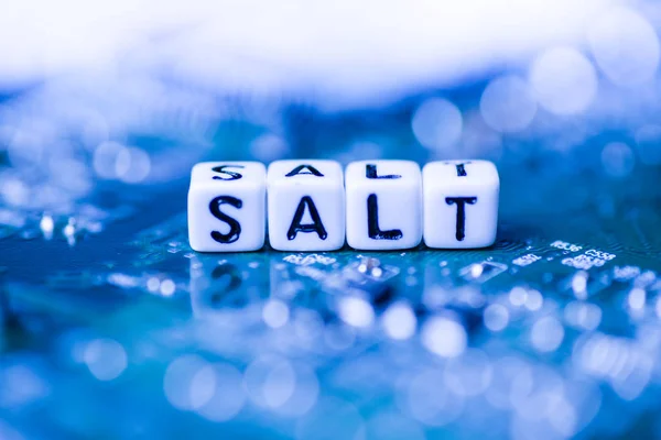 Word SALT formed by alphabet blocks on mother cryptocurrency — Stock Photo, Image