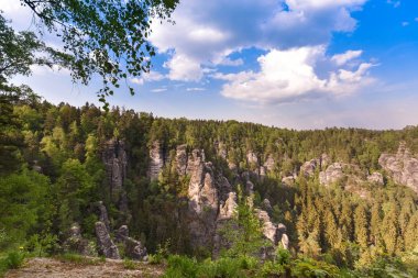 Bastei Neurathen kale kalıntıları çevresinde İsviçre Saksonya kayalarda. Almanya.