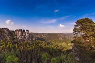 Bastei Neurathen kale kalıntıları çevresinde İsviçre Saksonya kayalarda. Almanya.