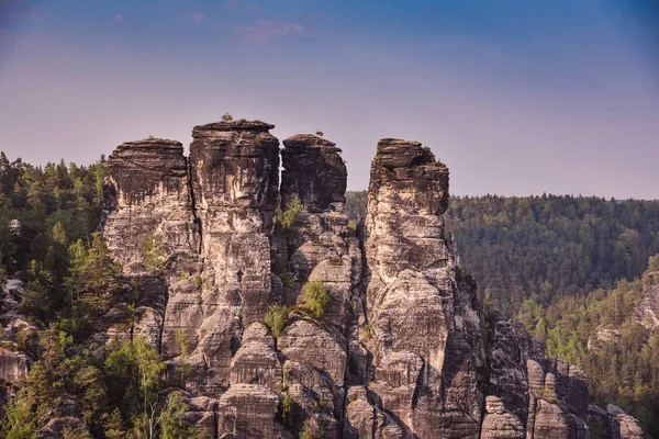 Bastei Rocas en Sajonia Suiza, alrededor de las ruinas del castillo de Neurathen. Alemania . — Foto de Stock