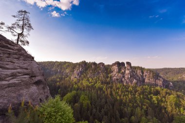 Bastei Neurathen kale kalıntıları çevresinde İsviçre Saksonya kayalarda. Almanya.