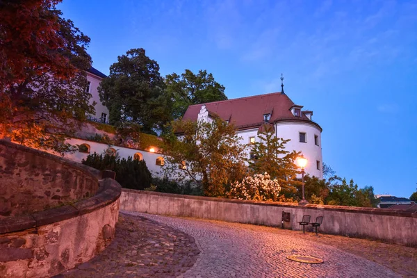 Altenburg Germania - Maggio 2018: l'imponente castello di residenza di fronte al cielo blu dell'estate — Foto Stock