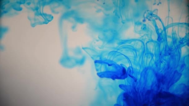 蓝色油漆墨水倒在玻璃杯上 墨水滴飘落 抽象的烟雾弥漫 水彩斑斓 — 图库视频影像