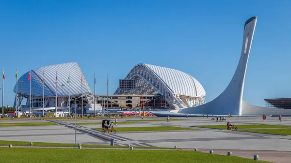 Stadyum fischt arka planda Olimpiyat kazanı. Soçi 2014 Kış Olimpiyat Oyunları