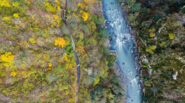 Yukarıdan hava görüntüsü. Ormandaki dağ nehri. Yeşil ağaç.