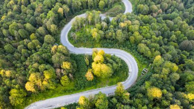 Yeşil bir ormanda dolambaçlı bir yol. Yukarıdan manzara. Hava İncelemesi.