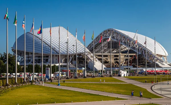 Sochi, russia- 02.01.2020 Олімпійський парк Сочі. Кубок Олімпійського полум'я. Рибний стадіон. Спортивний центр. Сучасний вигляд. Повітряна фотографія з квадрокоптера. Жодних людей. Вид згори.. — стокове фото